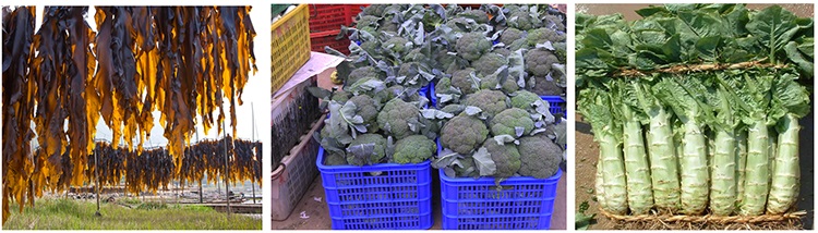 &#38886;&#24503;&#32593;&#31449;&#45;&#65288;&#20013;&#22269;&#65289;&#26377;&#38480;&#36131;&#20219;&#38886;&#24503;&#32593;&#31449;
